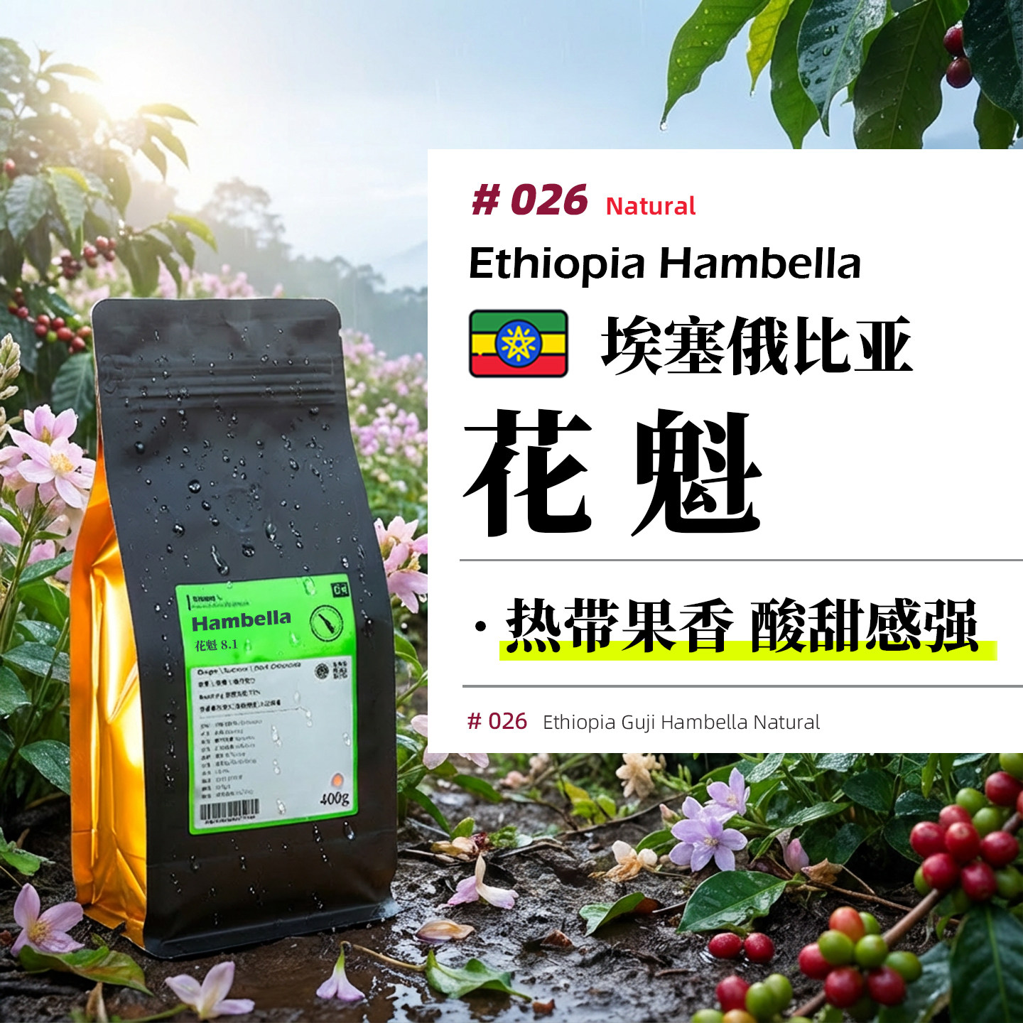埃塞·花魁8.1·日晒处理·浅烘 埃塞俄比亚罕贝拉手冲咖啡豆
