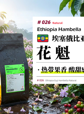 埃塞·花魁8.1·日晒处理·浅烘 埃塞俄比亚罕贝拉手冲咖啡豆