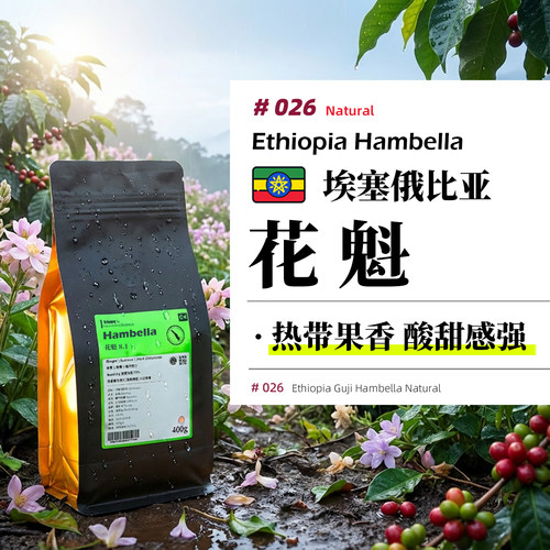埃塞·花魁8.1·日晒处理·浅烘 埃塞俄比亚罕贝拉手冲咖啡豆