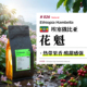 埃塞·花魁8.1·日晒处理·浅烘 埃塞俄比亚罕贝拉手冲咖啡豆
