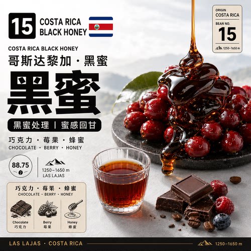 哥斯达黎加·黑蜜·蜜处理·中烘 拉斯拉哈斯庄园手冲咖啡豆