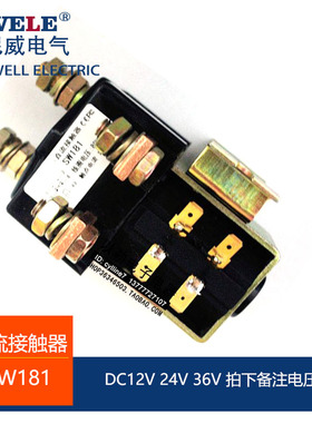 **SW181 叉车直流接触器 SW181 DC220V DC110V DC24V*