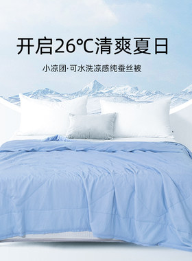 鑫缘丝绸凉感可水洗蚕丝被夏凉被子被芯空调被100%蚕丝新品薄款