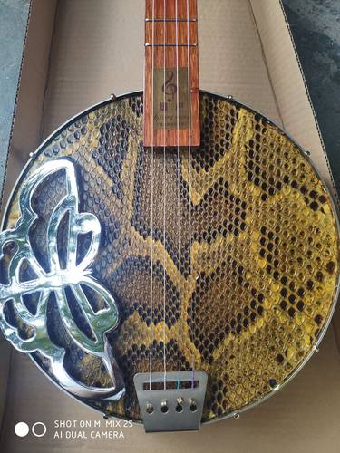 秦琴乐器边助蛇皮洋声雄声