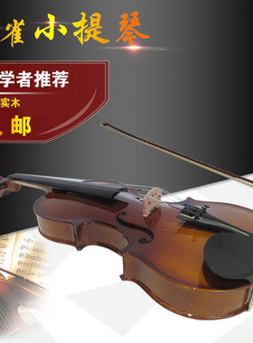 海浪乐器正品金雀牌专业级包邮