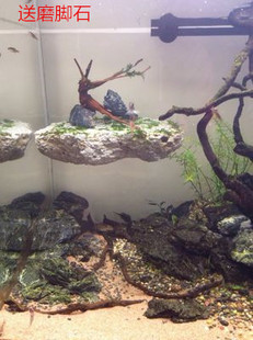 2个轻石纯天然悬浮石水族造景石草缸鱼缸石阿凡达大号包邮假山