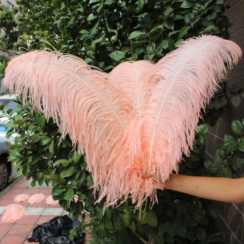 diy鸵鸟羽毛网红ins粉色装饰路引婚庆桌花烛台摆件拍照道具大羽毛