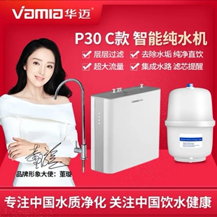 华迈净水器P30 C款M3款原M2 C款100G反渗透集成水路技术滤芯