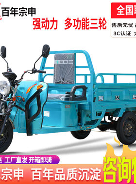 宗申电动三轮车电瓶车快递车货运家用/农用载重摆摊拉货建材标兵
