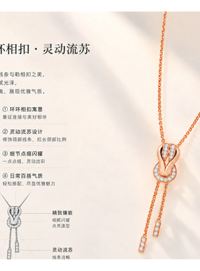 设计师款小众马蹄吊坠锁骨链女