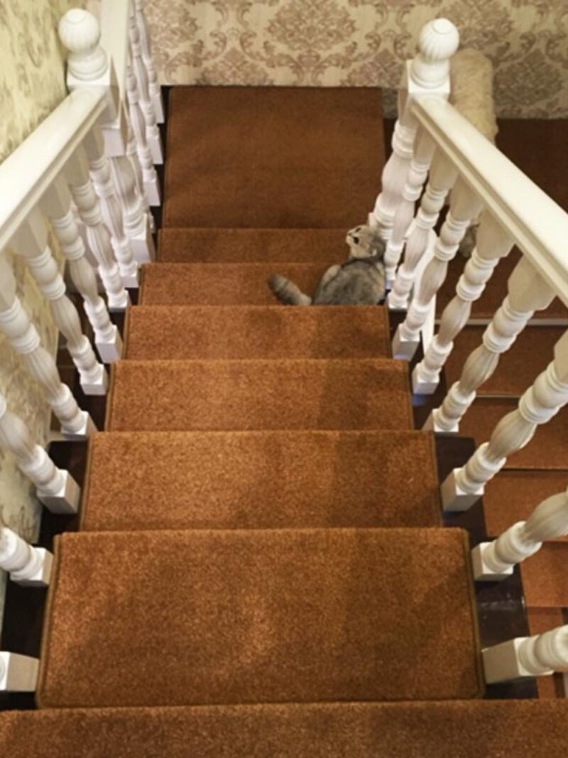 加厚单素色灰色红色楼梯垫楼梯踏步防滑垫转角休息平台定制自吸