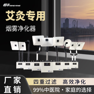 智能抽吸排烟机家用养生馆美容院中医院 艾灸烟雾空气净化器移动式