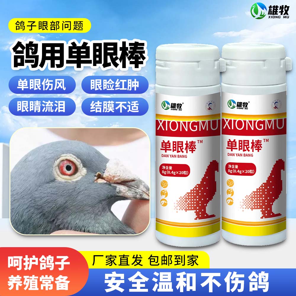 雄牧单眼棒鸽子赛信鸽单眼伤风流泪红肿睁不开衣原净泪速停鸽用品