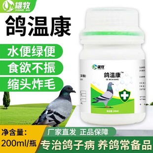 雄牧鸽温康鸽子拉便绿稀水便鸽子歪脖缩头炸毛黄白痢疾专用鸽疫清