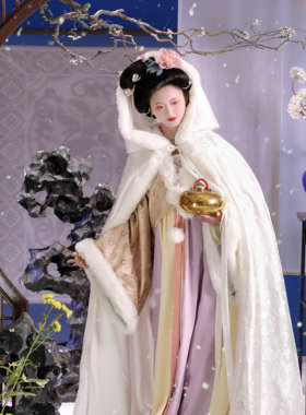 明霁 法门寺唐制冬款双色齐胸襦裙