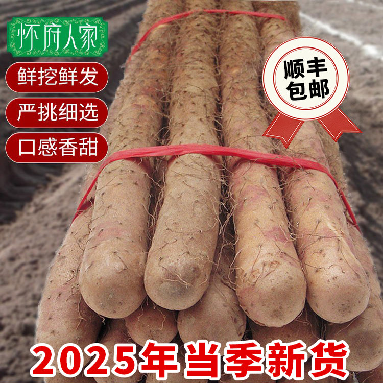 怀府人家正宗铁棍约棒淮山药