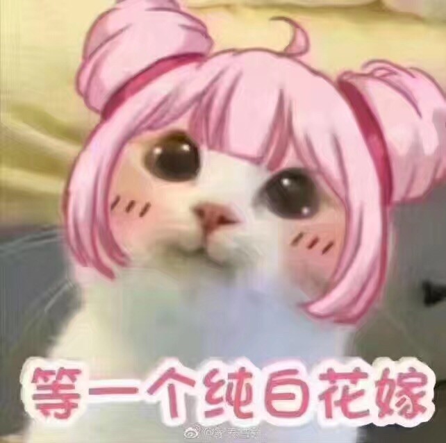 店铺补运费专拍链接联系客服