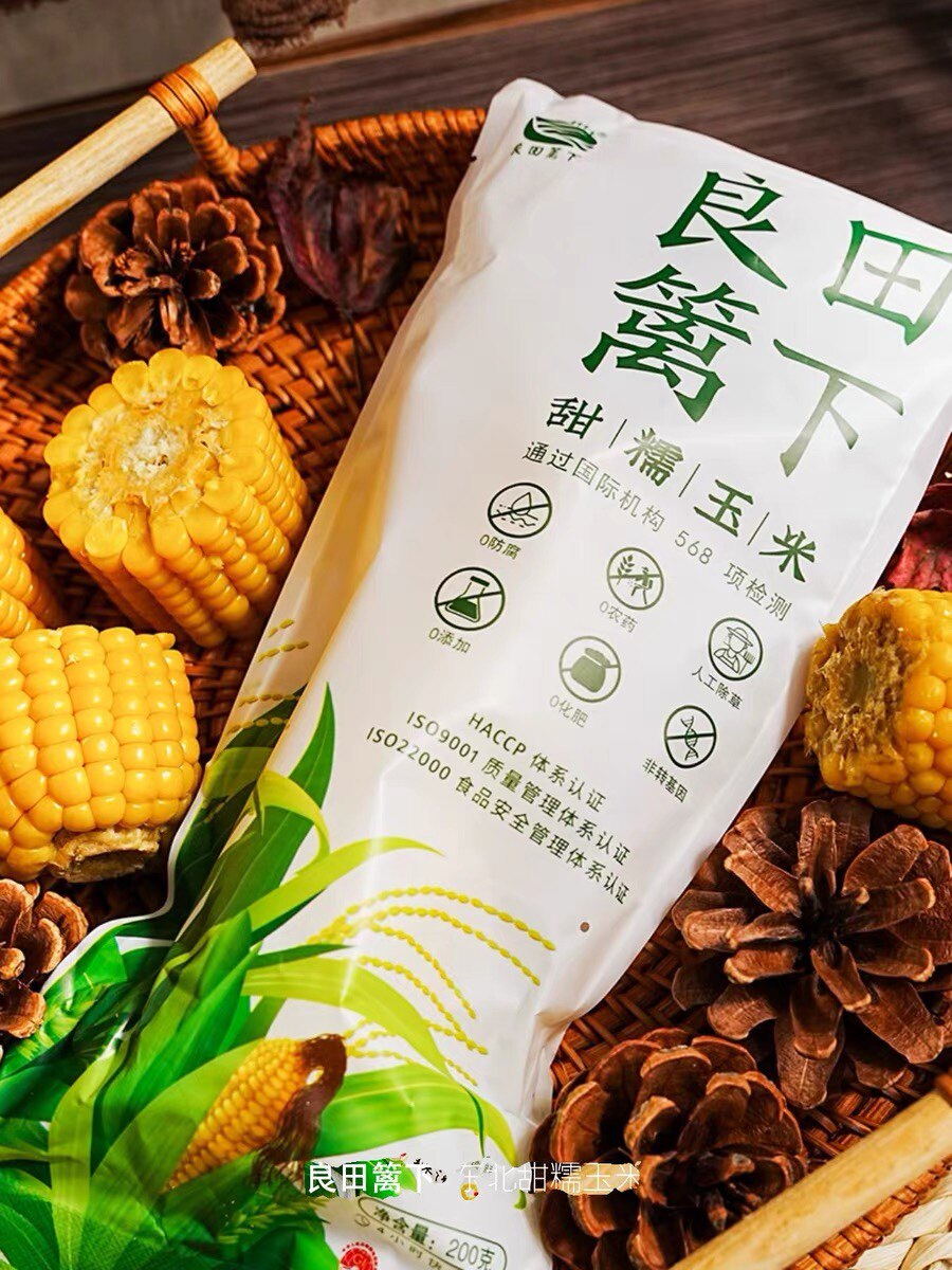 良田篱下 甜糯黄玉米东北当季新鲜玉米低卡玉米儿童玉米 非转基因