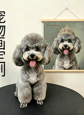 定制治愈系宠物狗狗猫咪