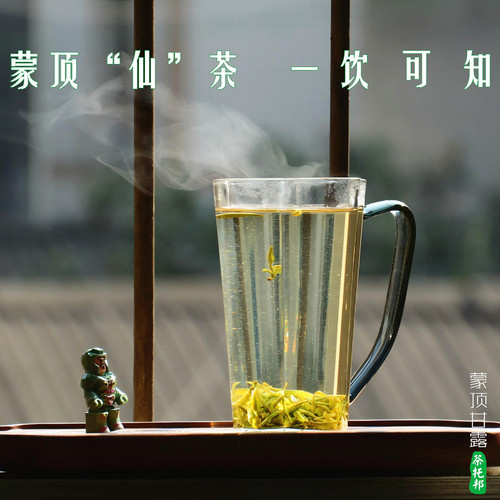 26蒙顶甘露 甘鲜活暖 柔润通透舌甘永 70年川茶 明前高山绿茶