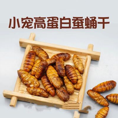 仓鼠蚕蛹金丝熊蜜袋鼯零食高蛋白蚕蛹干鹦鹉饲料美营养健康无添加