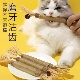 木天蓼解闷猫咪磨牙棒自嗨逗猫棒耐咬小猫猫咪用品猫玩具养猫神器