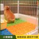 去宠去塑料网格宠物脚垫狗笼子脚垫板垫子猫笼子兔子窝地垫脚板