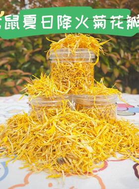 金丝皇菊花瓣泡脚泡澡装枕头仓鼠降火枕芯花茶投料黄龙丝正品正宗