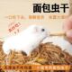 仓鼠粮食面包虫干金丝熊小零食用品营养食物芦丁鸡八哥黄粉虫饲料