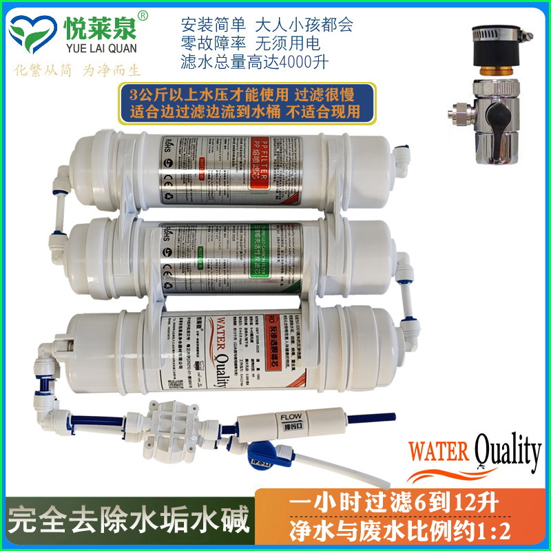 农村100G净水机反渗透纯水机直饮家用厨房净水器自来水去水垢免电