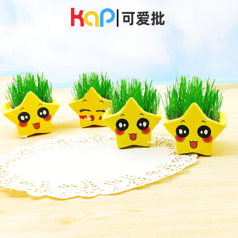 浇水头上长头发草娃娃迷你小盆栽植物情思草籽喷水办公室桌面长草