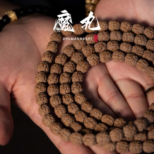 魔丸现代金刚菩提媲美一代盘龙