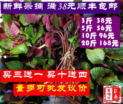 Wild fresh perilla leaf scented perilla fish head hairy crab crayfish seafood spices Jiangsu, Zhejiang, Shanghai and Anhui two