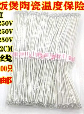 电饭煲配件185度10A250V15A20A250V加长铜线陶瓷电饭煲温度保险丝