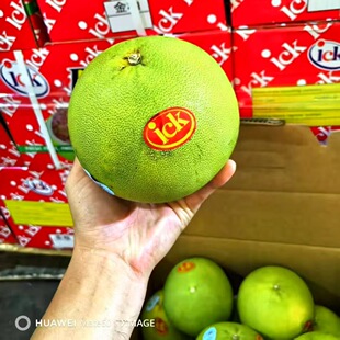 正品泰国ICK金柚原装高端礼盒装10只装金柚礼盒 三高孕妇可食闪送