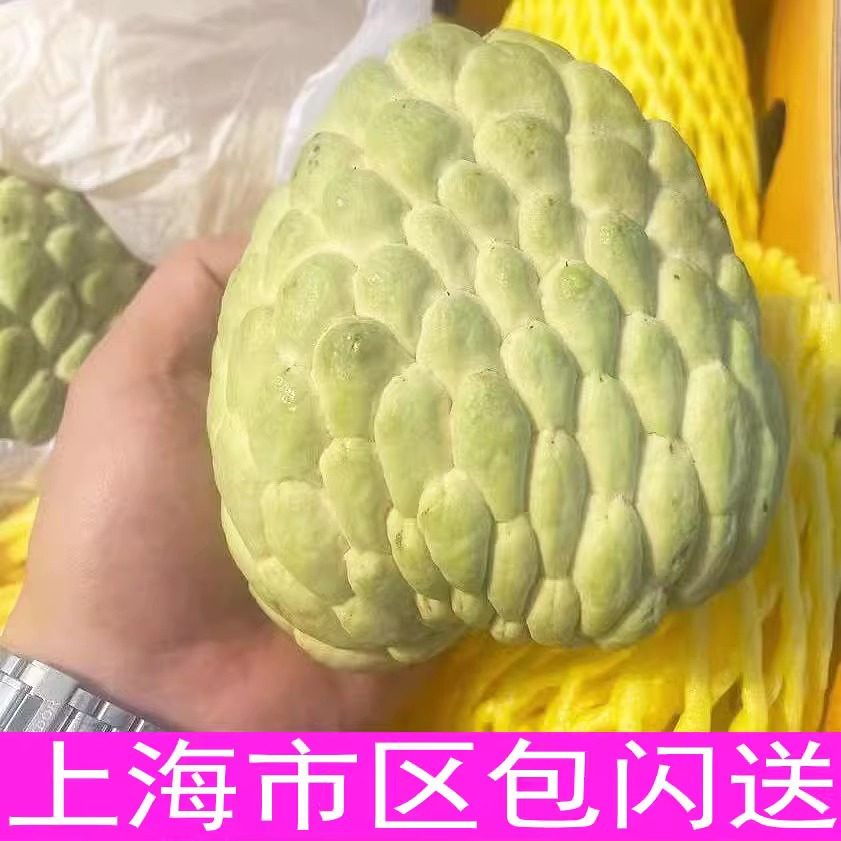 释迦果特大果 原箱装 空运新鲜水果上海市区包闪送高端进口