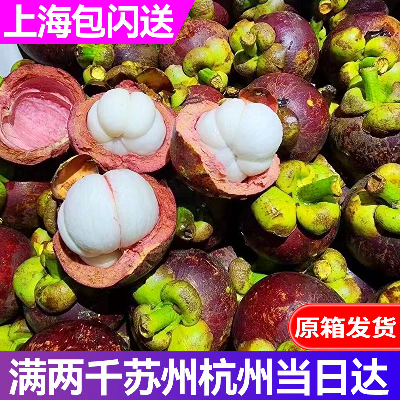 原箱印尼进口空运红叶山竹14斤5A 6A特大果上海市区包闪送稀有