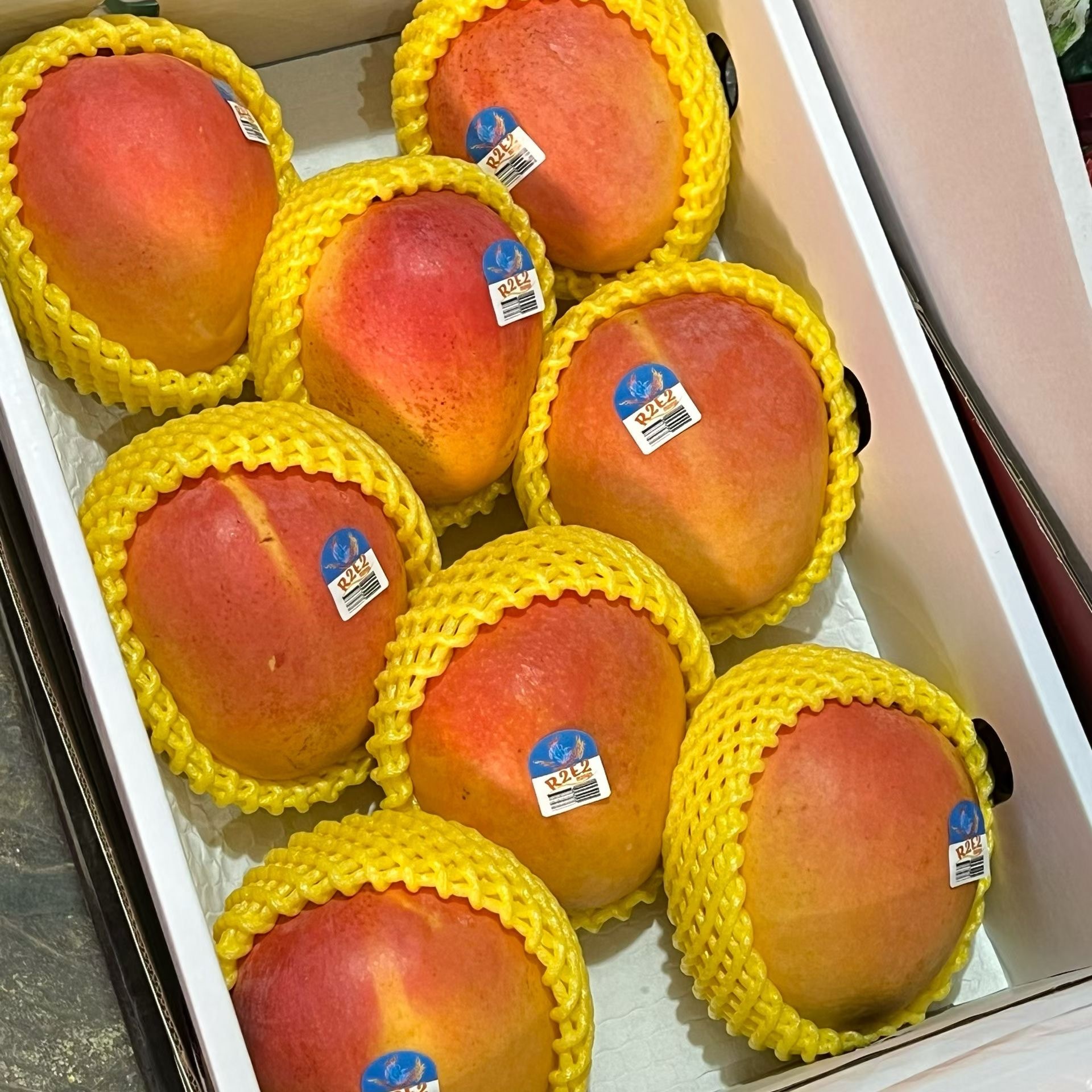 R2E2澳芒澳洲大芒果澳大利亚进口新鲜水果高端送礼 8个上海闪送