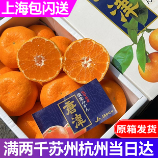 日本引进品种唐津柑蜜柑超甜爆汁温室薄皮橘子香气超好吃市区闪送