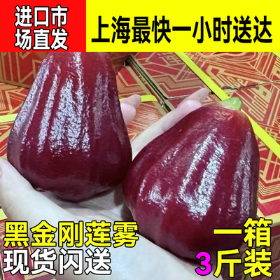 黑糖芭比莲雾整箱12斤装