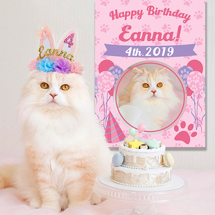 定制生日派对海报 宠物生日装饰背景墙布置 可换猫咪狗狗照片头像