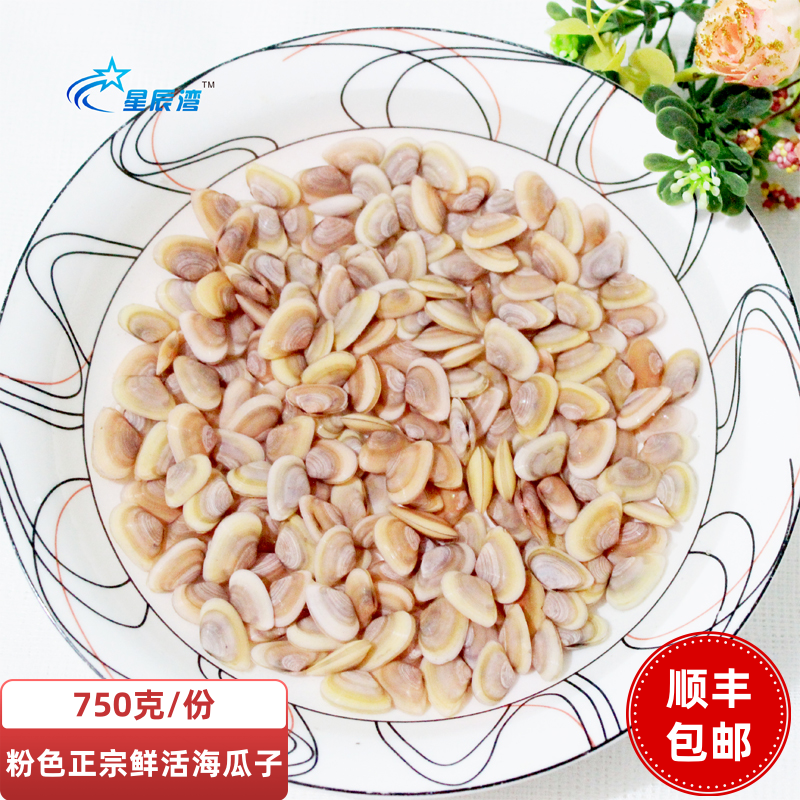 大籽(半斤)星辰湾海瓜子水产海鲜特产新鲜活粉色薄壳发顺丰黄蛤