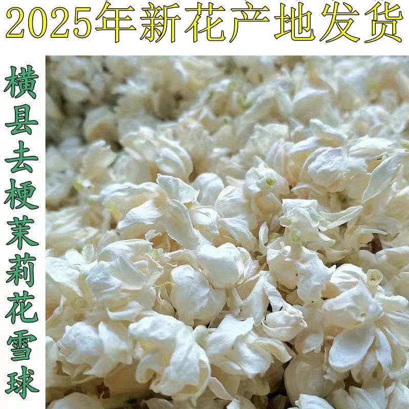 2026年头采茉莉花干（雪球100克）广西横州横县茉莉花干花茶养生