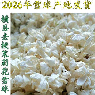 2026年产地横州发货纯茉莉花干（雪球100克）