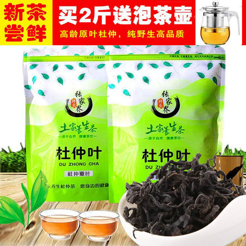 张家界野外生长嫩叶杜仲茶