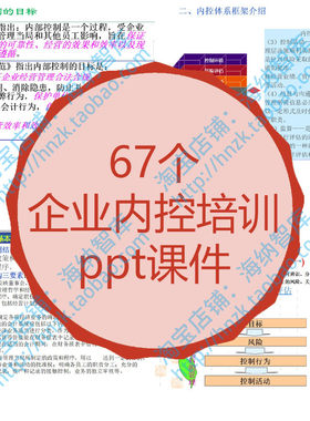 企业内控ppt课件内部控制审计讲义风险管理规范流程体系财务合规