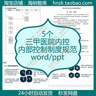 三甲医院内部控制制度规范内控手册模板管理办法范本模板风险监督