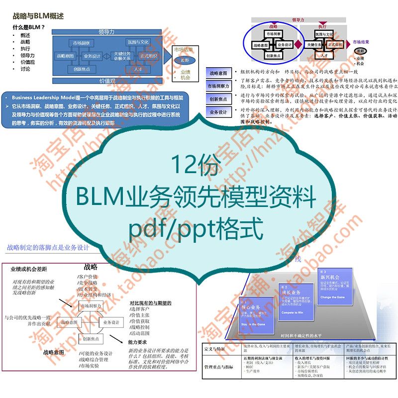 BLM业务领先模型资料战略方法论O...