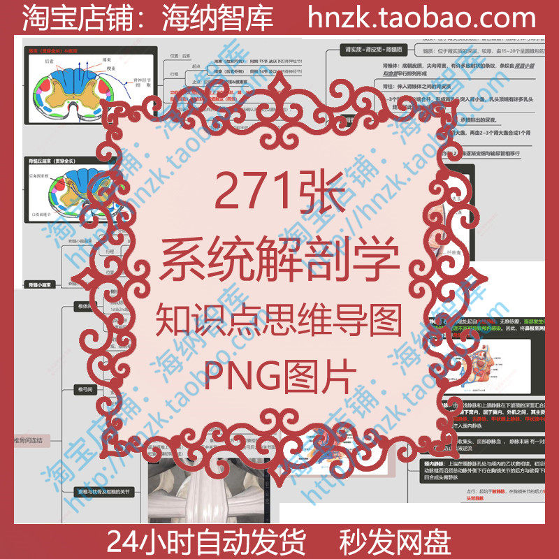 系统解剖学知识点思维导图运动内脏学脉管感觉器神经医学呼吸消化