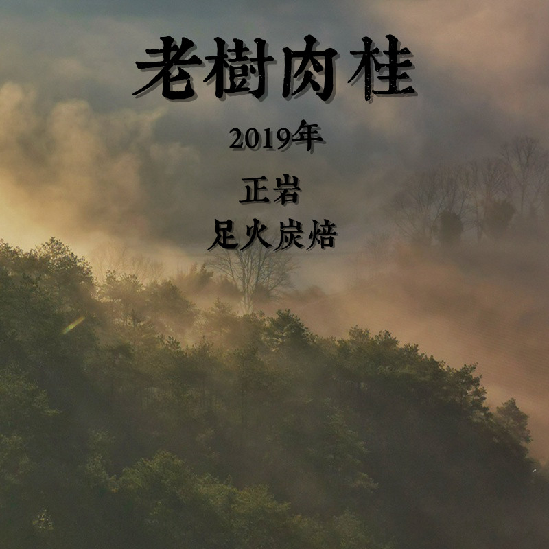 2019年老树肉桂足火自然陈武夷大红袍醇和回甘辛辣重口味160g老茶